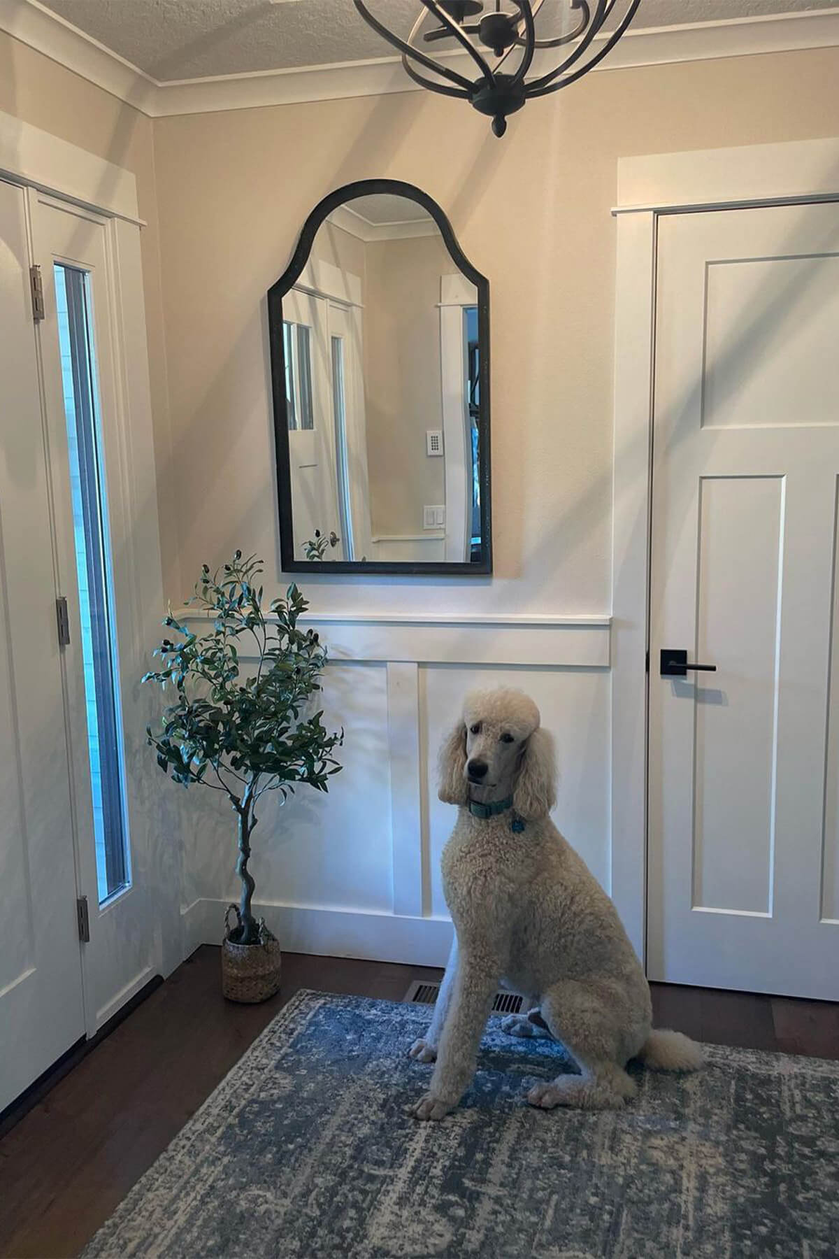 Mirror