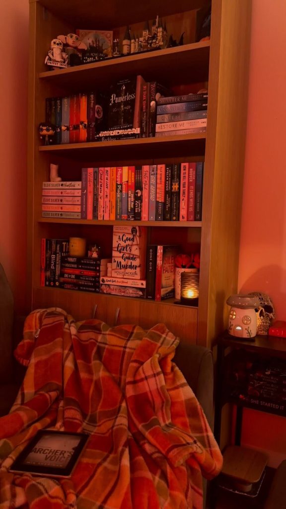 Cozy Bedroom Nook with an Inviting Bookshelf Design