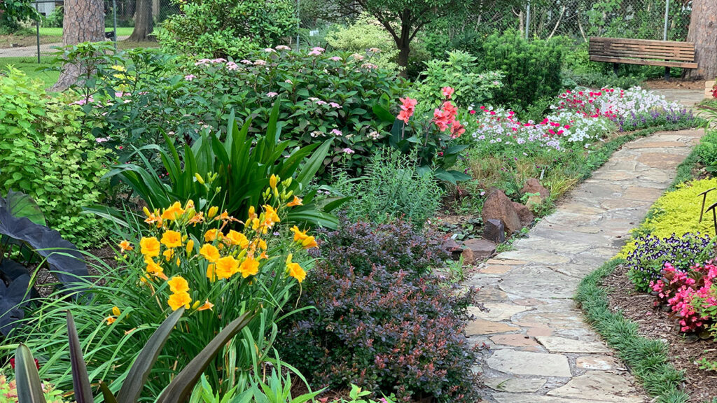 Garden stone pathway with greenery and flowers