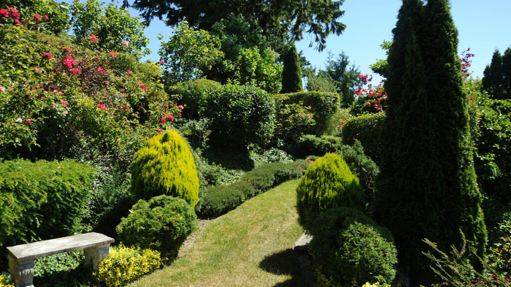 bench beside plants and grass pathway