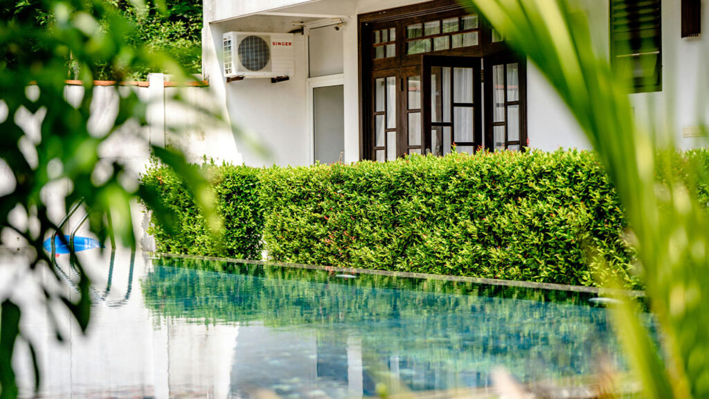 Swimming Pool Near Green Plants