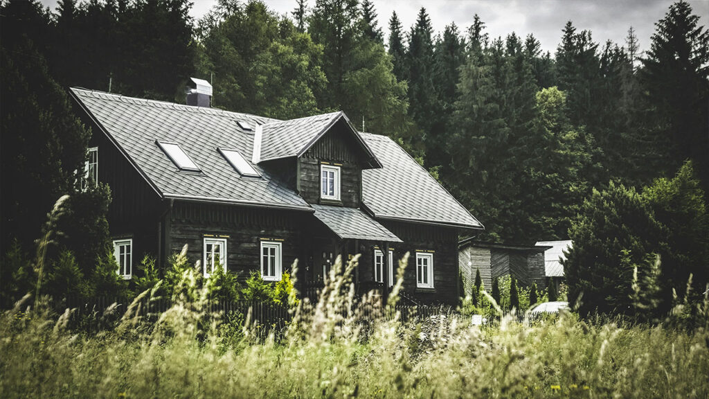 gray wooden house on forest