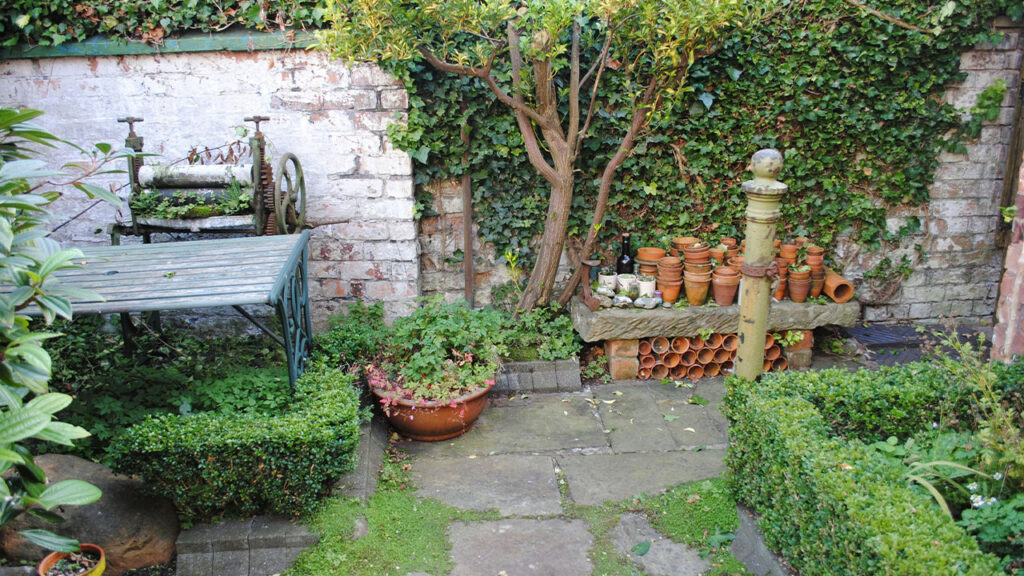 green leaf plant on brown clay pot