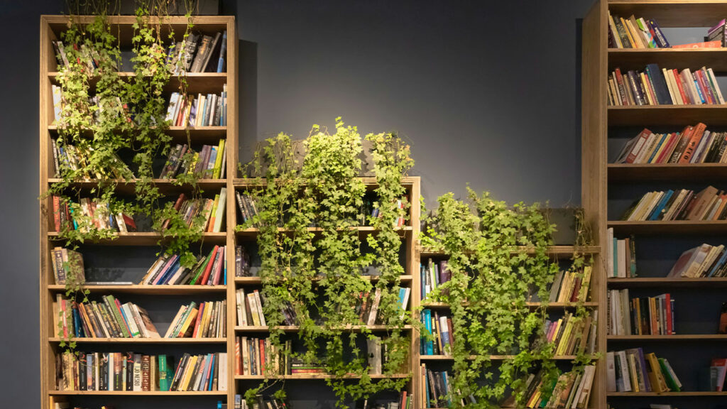 four brown wooden bookshelves with books