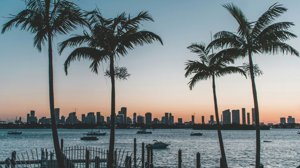 silhouette of palm trees near body of water during sunset