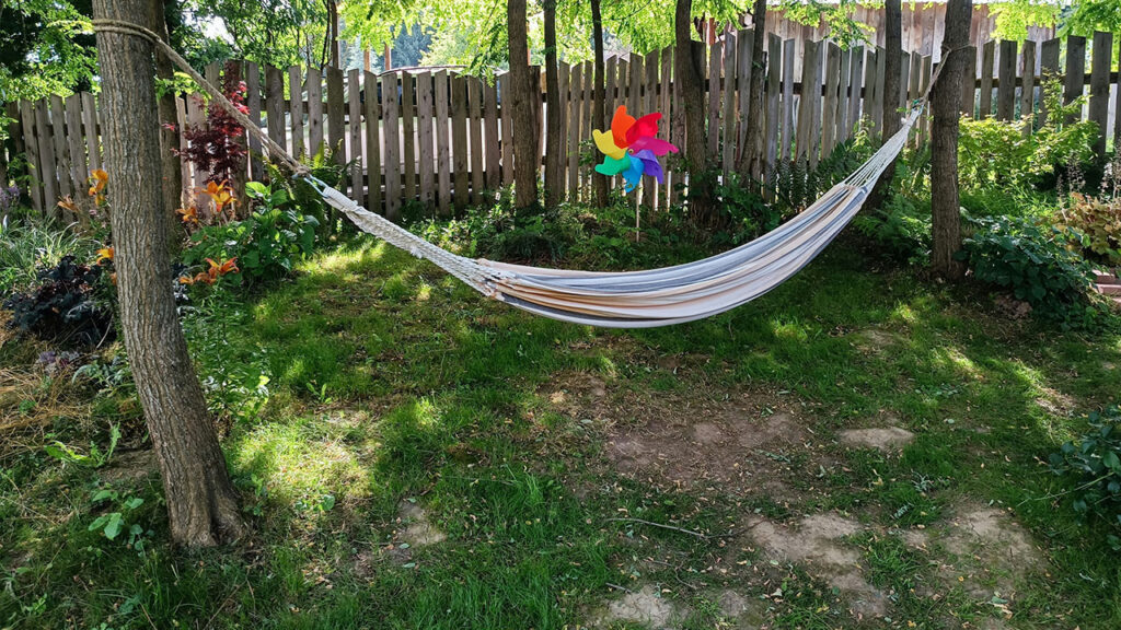A hammock in a yard with trees and a fence