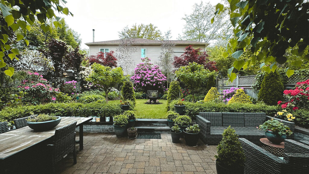 View of a Garden behind the House