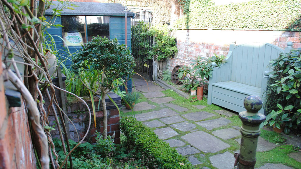 green plants beside white concrete house during daytime