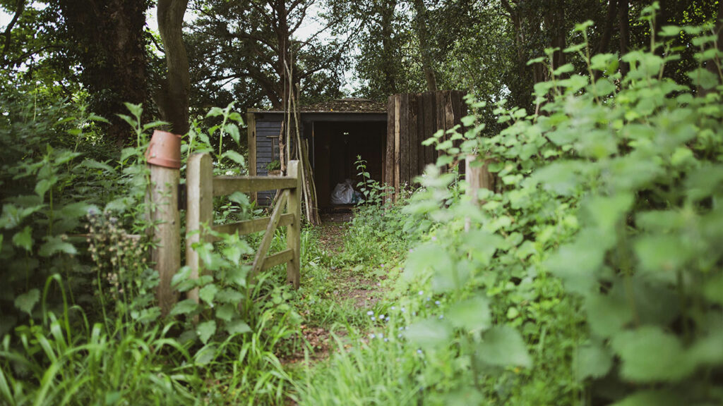brown wooden house surrounded by green plants