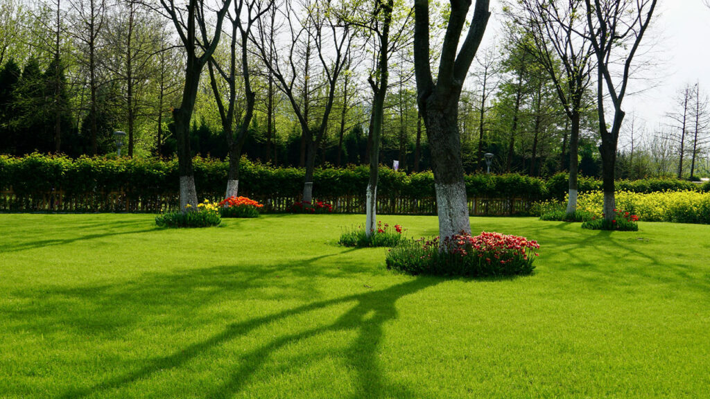 A grassy field with trees and flowers in the background