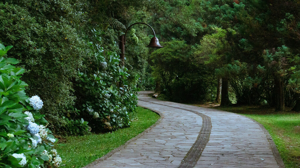 a paved road with a lamp post on the side