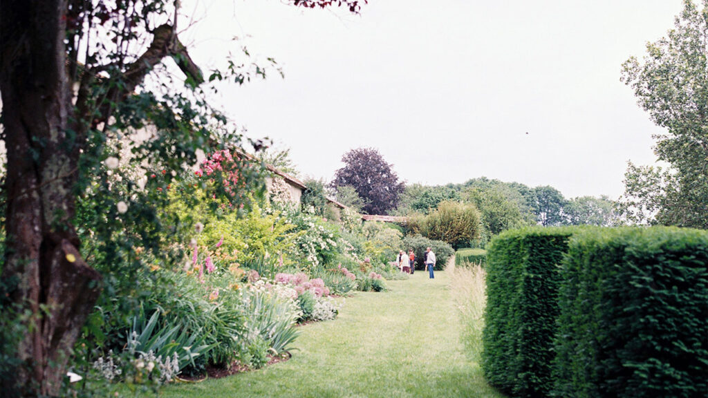 people walking on green grass field during daytime