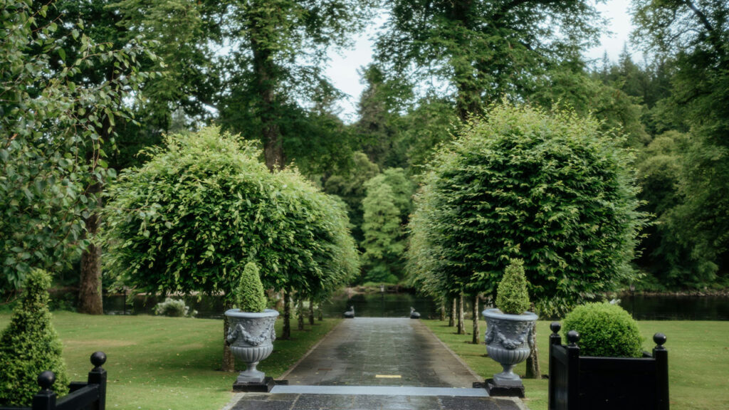 A long driveway lined with potted plants and trees