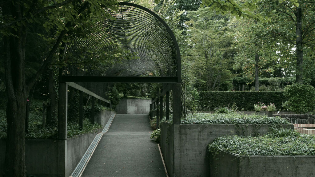 A walkway in a park lined with trees