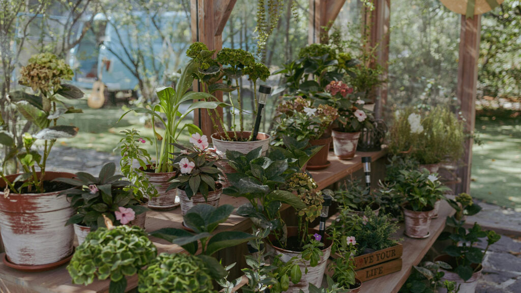 A wooden table topped with lots of potted plants