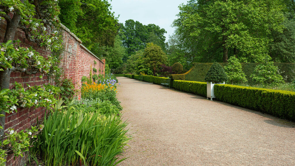 A path in the middle of a garden lined with hedges