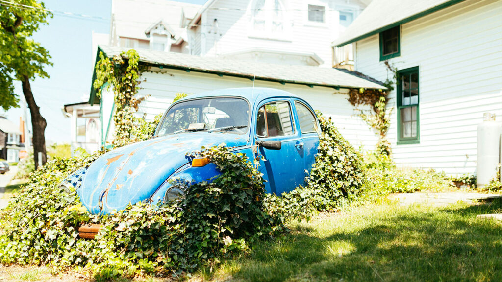 blue Volkswagen Beetle chassis covered in green vines