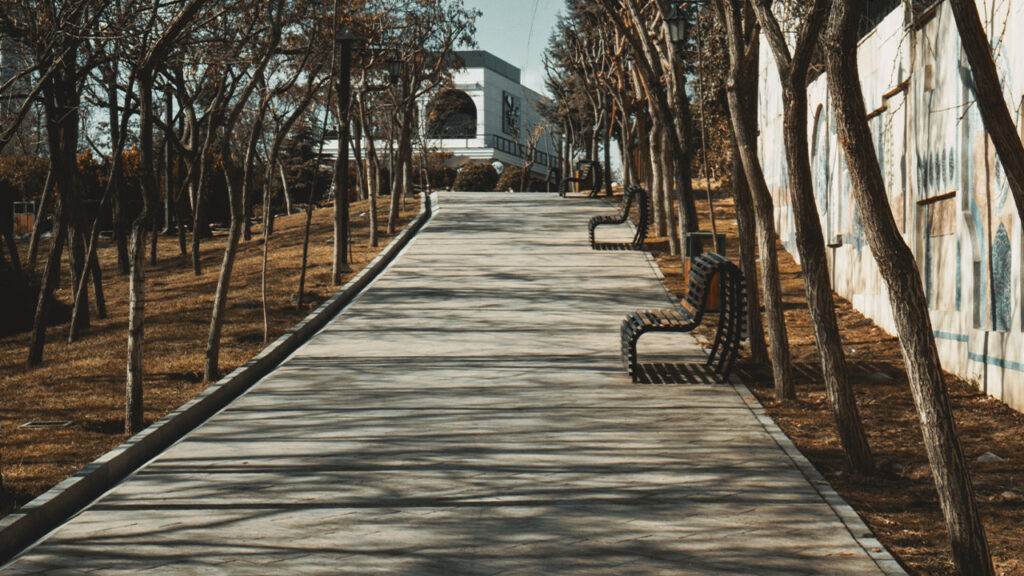 A long walkway lined with trees next to a building