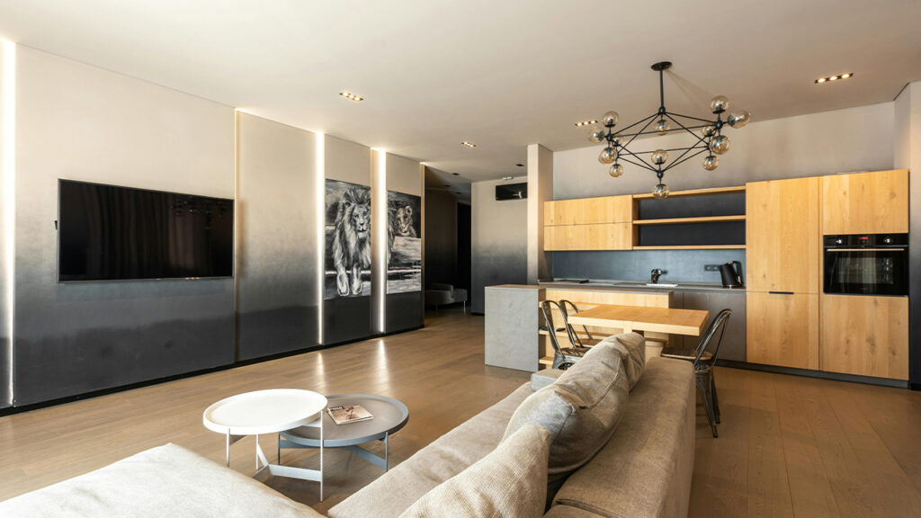 living room cum kitchen