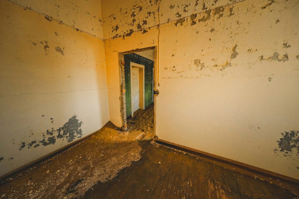 mold on walls