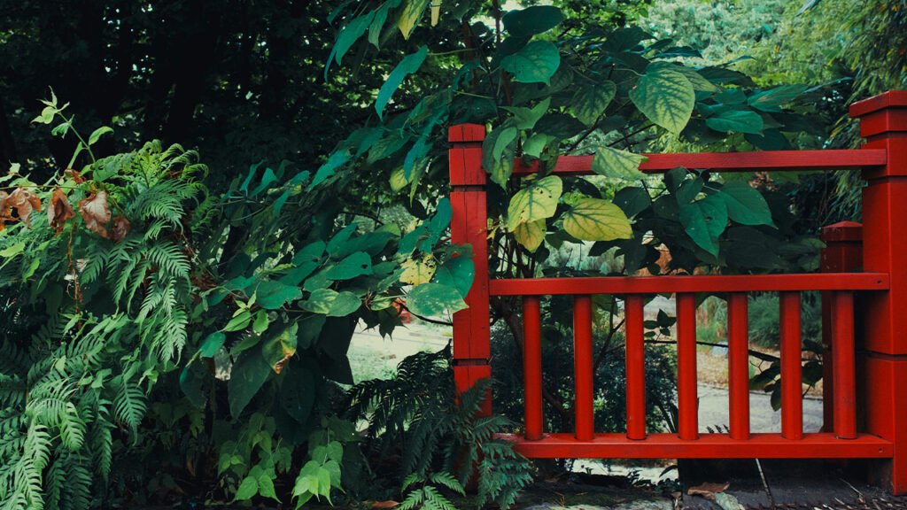 Red fence in garden