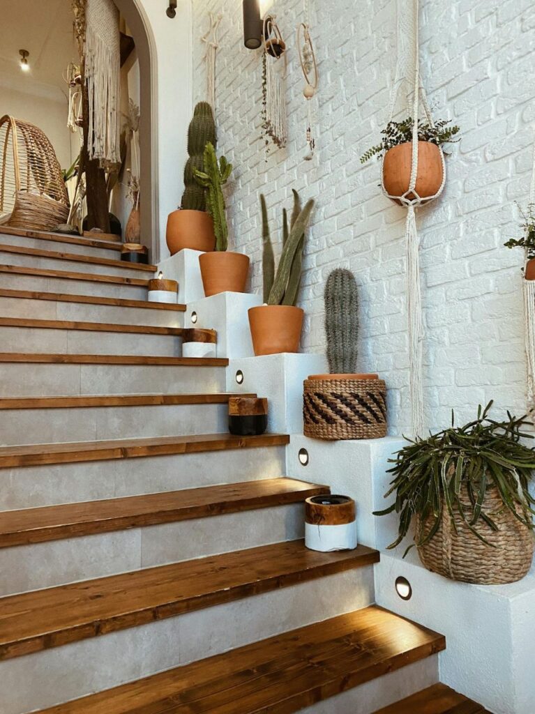 plants on stairs