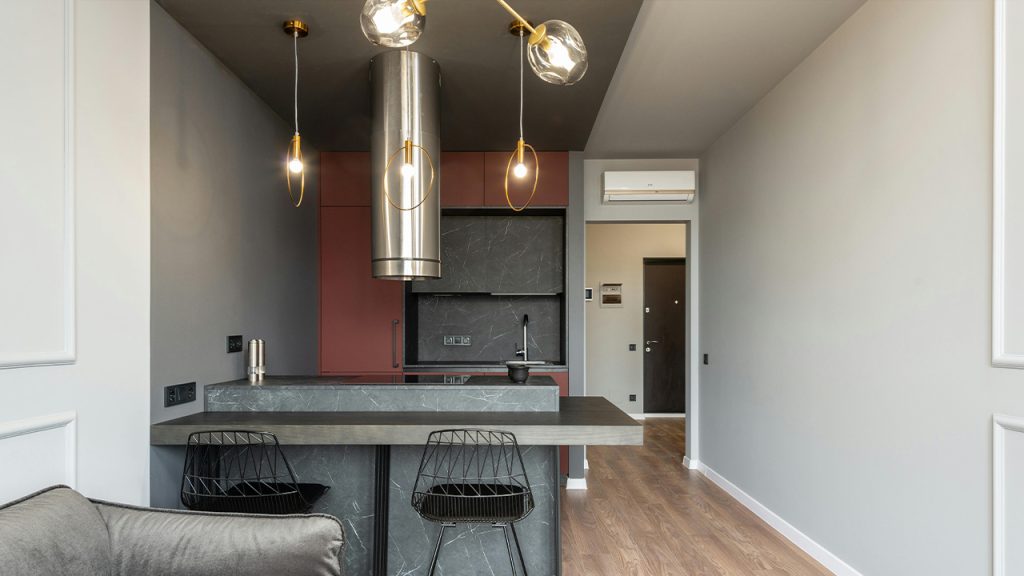 Contemporary apartment with open space kitchen