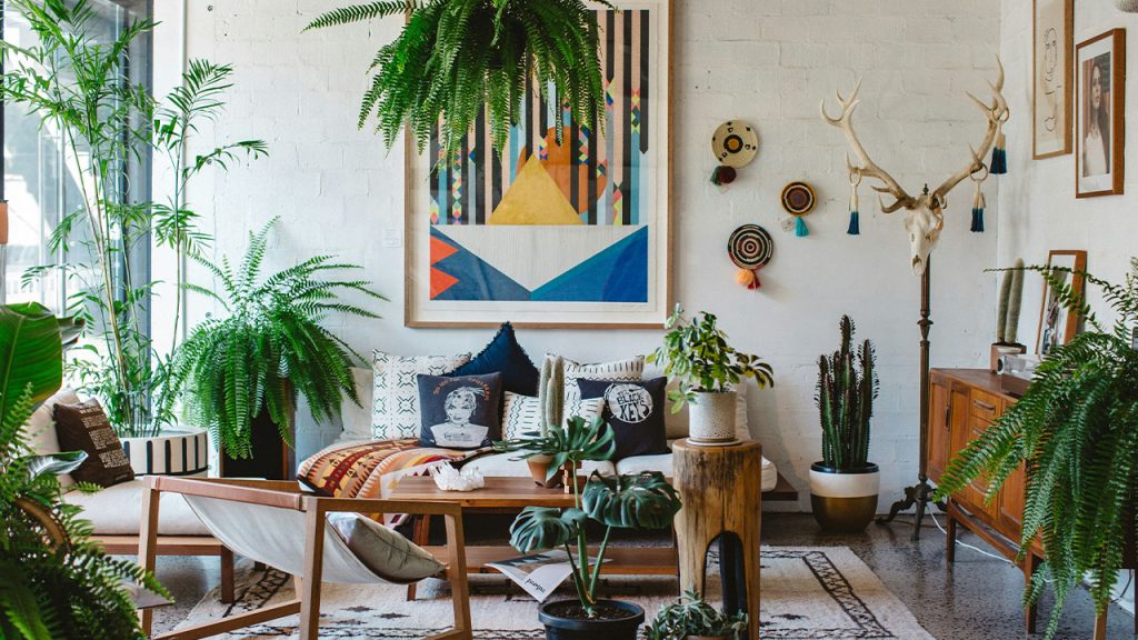 green potted plant on brown wooden table