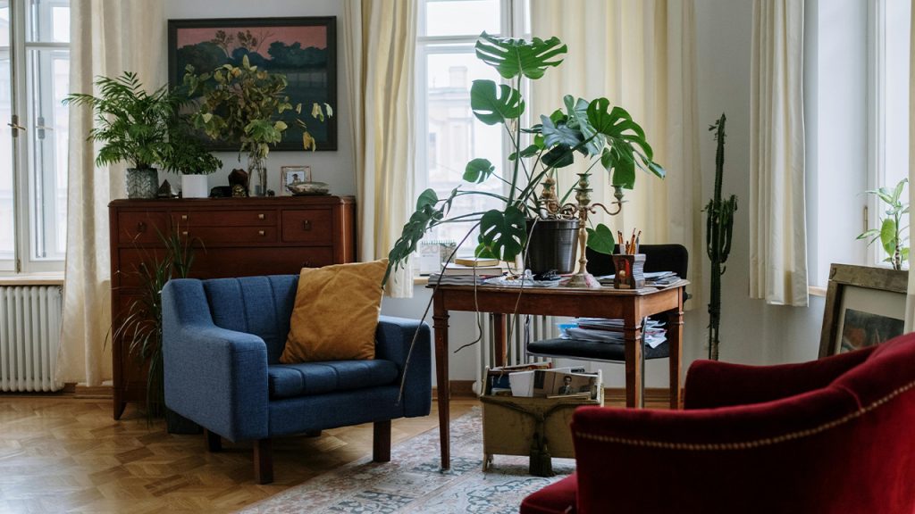 A Potted Monstera Deliciosa Plant on a Wooden Table