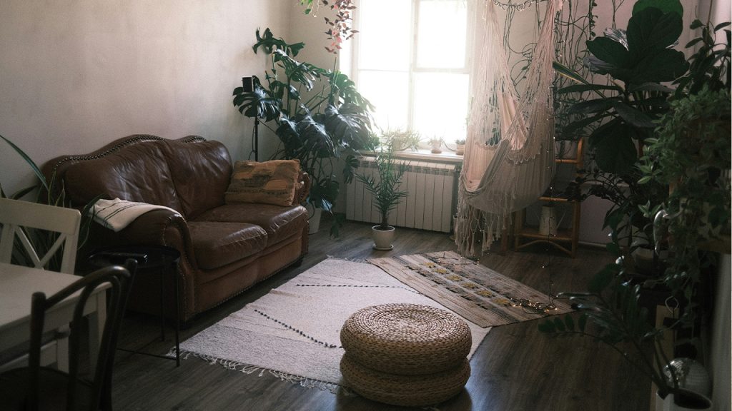 a living room with a couch and plants