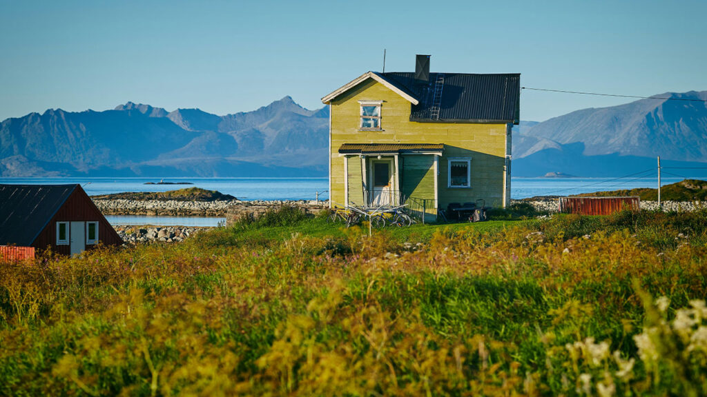 2-storey house surrounded by green and yellow plants during daytime