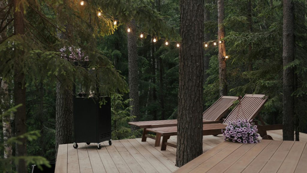 Sun Loungers in the Forest