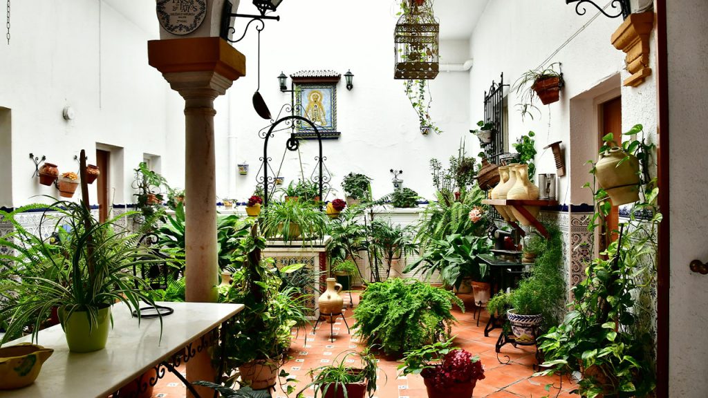 Assorted Plants in the Garden