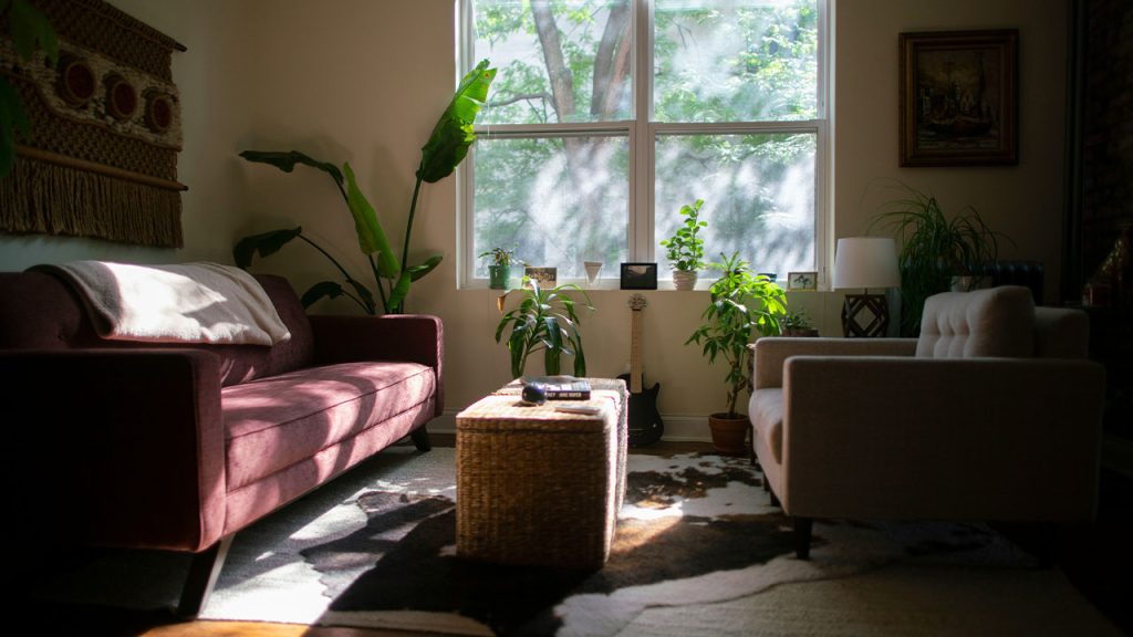 green potted plant on white table