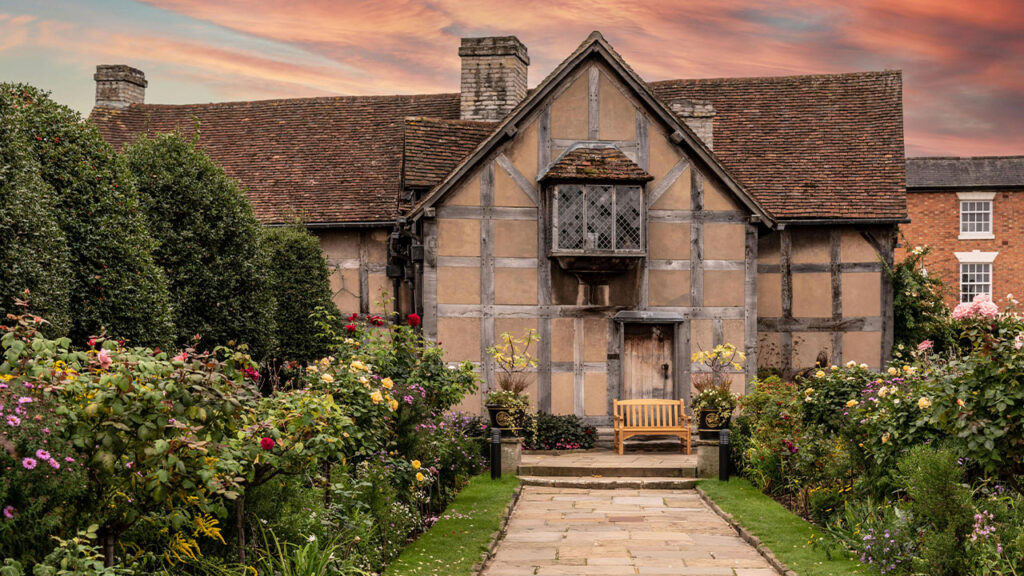 A House Near Green Plants