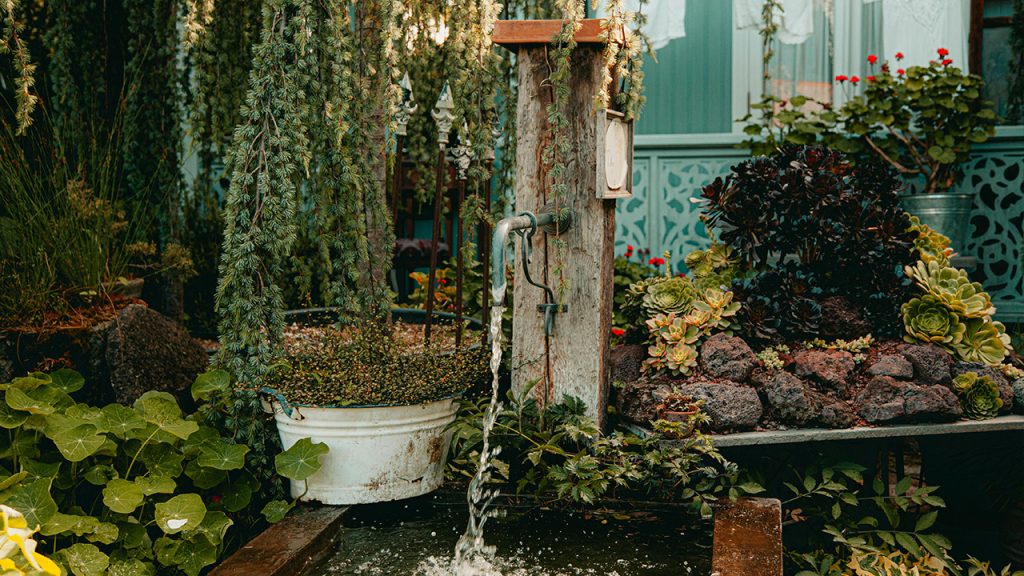 Water Flowing From the Faucet