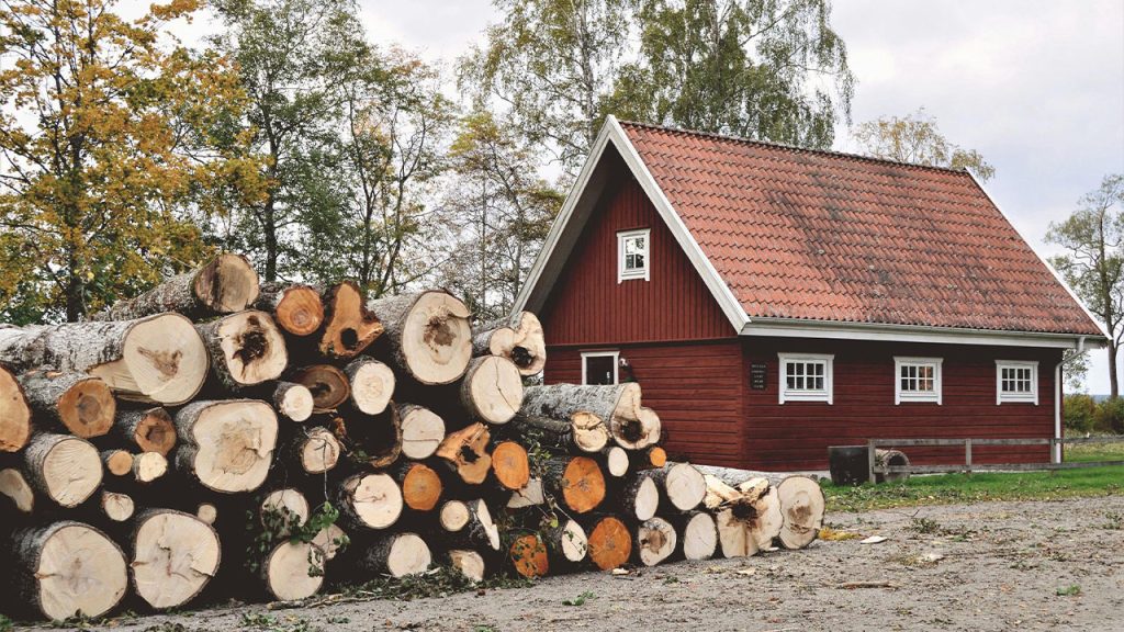 Tree Logs Near Barn