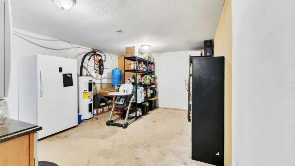 Organized Basement Storage and Utilities