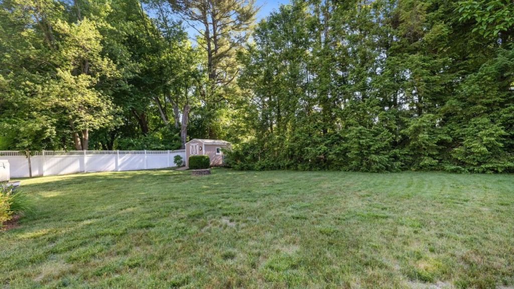Lush Lawn and Shaded Serenity
