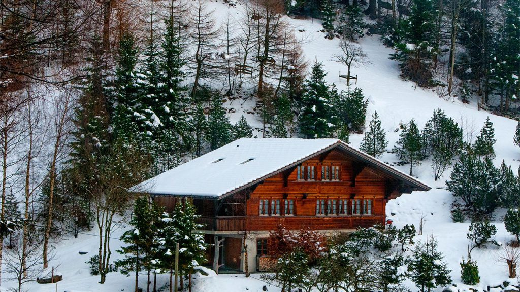 Photo of Chalet in the Forest