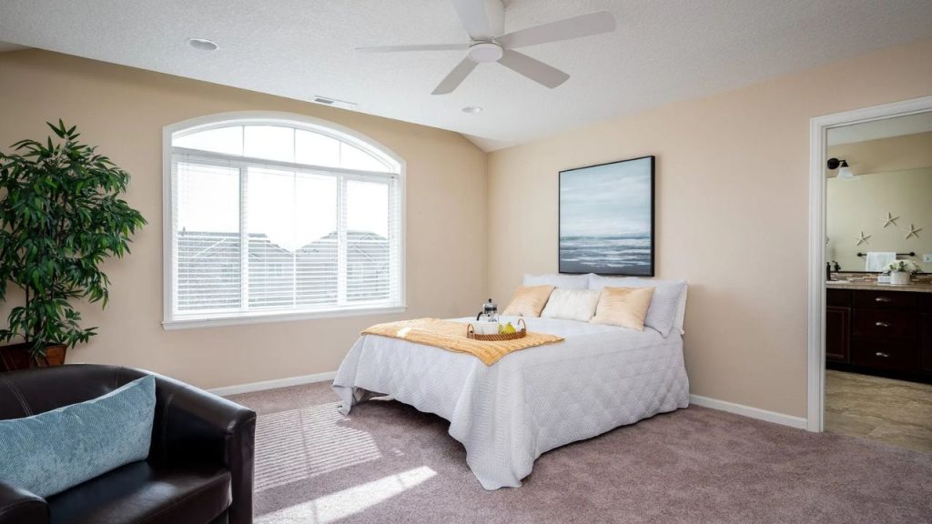 Bright and Cozy primary Bedroom