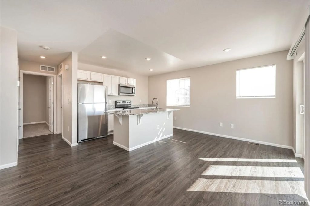 Modern Open-Concept Kitchen & Living
