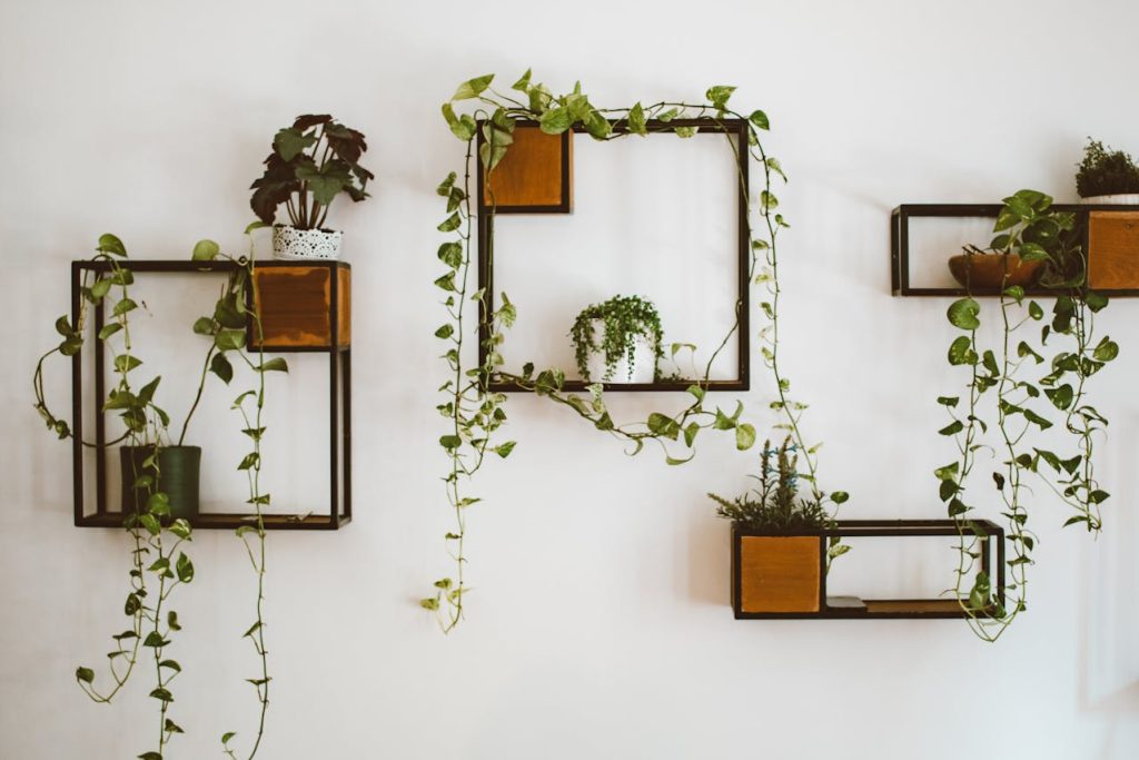 wall planters