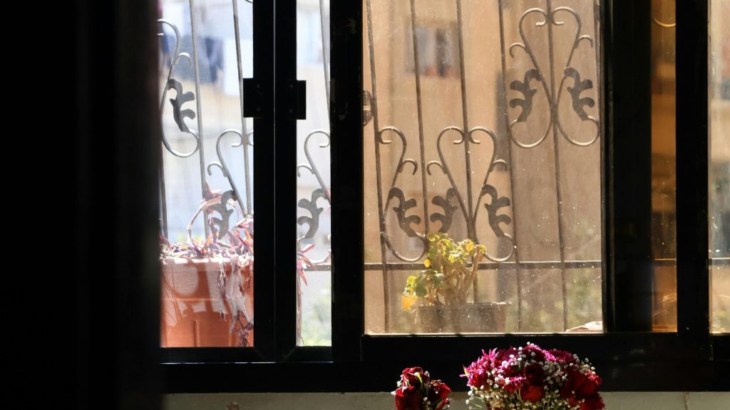 Window