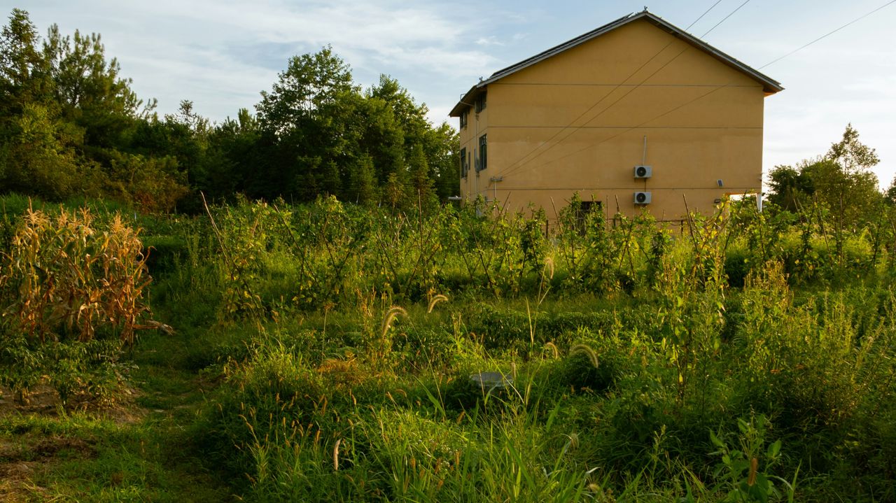 8 Exterior Features That Can Make Your Home Look Dated (and Neglected)