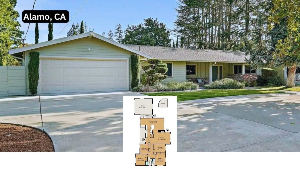 Single-story home in Alamo, CA with wide driveway, mature trees, and floor plan overlay.
