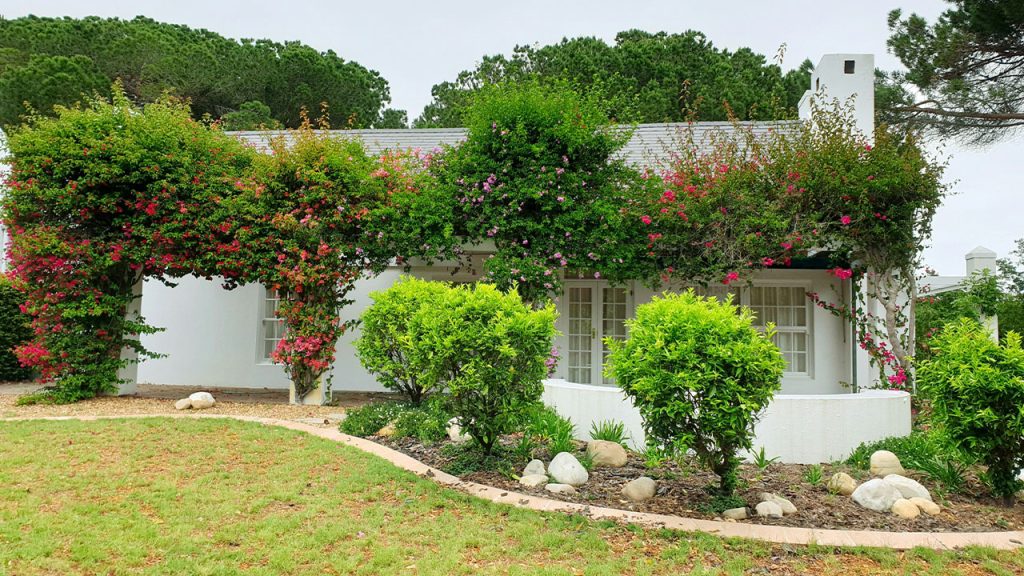 green trees near white house during daytime