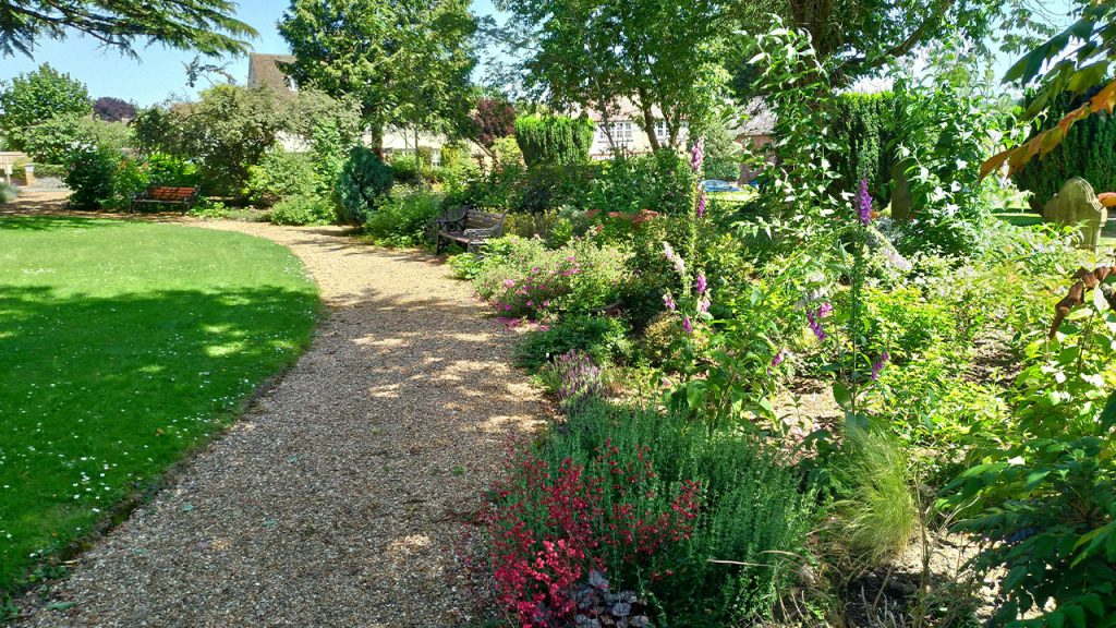 green grass field with green trees and plants