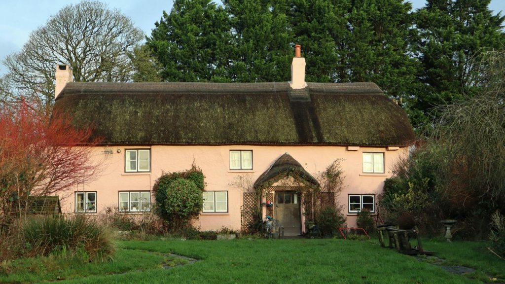 Thatched Roofs in a home