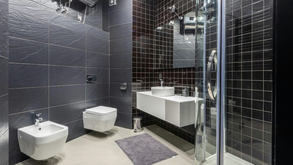 Bidets and Fancy Toilets